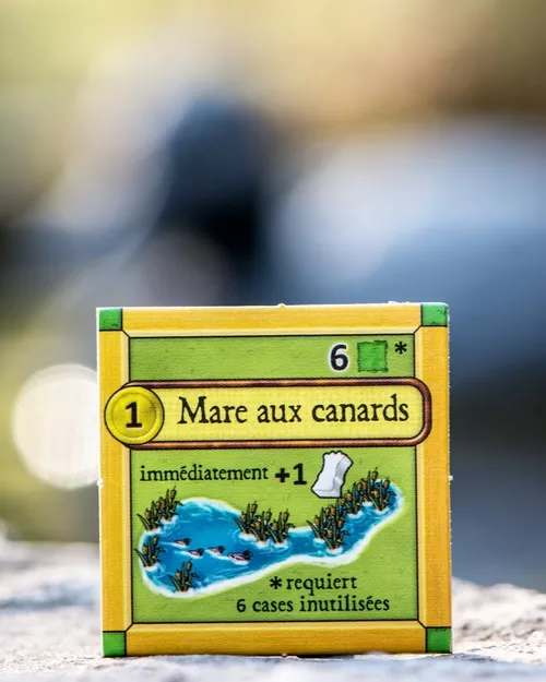 mare canards agricola duo